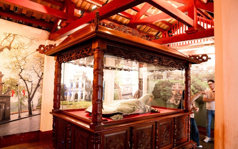 Le deuxième spécimen de la tortue sacrée