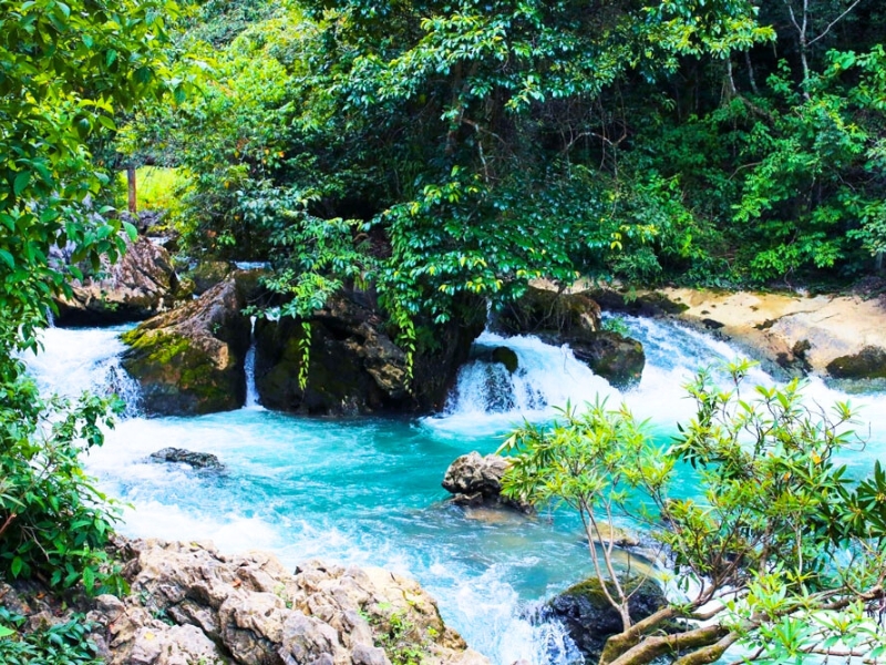 Site historique de Pac Bo, lieu de mémoire où l’histoire du Vietnam moderne a pris racine