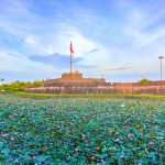 La fleur nationale du Vietnam paraît désormais incarner l’image du tourisme de Hué en été