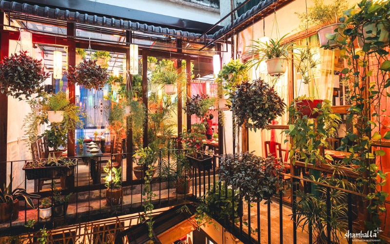 Le restaurant Shamballa propose un cadre aéré, vaste et en harmonie avec la nature