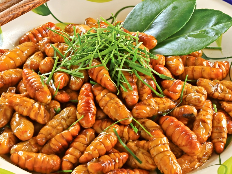 nhong-tam-chrysalides-de-ver-a-soie