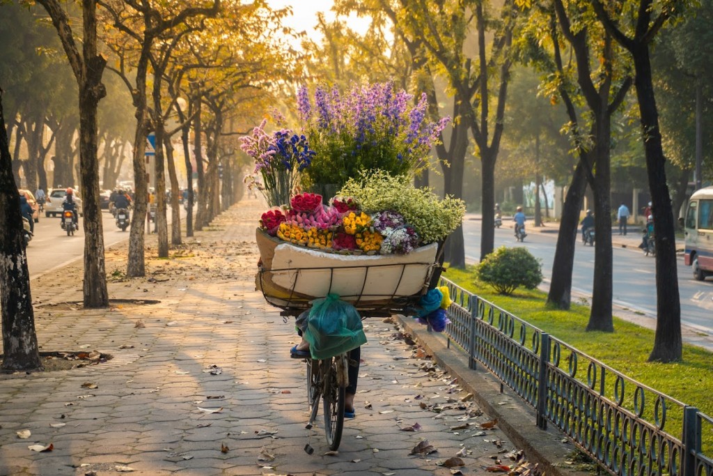 printemps a hanoi