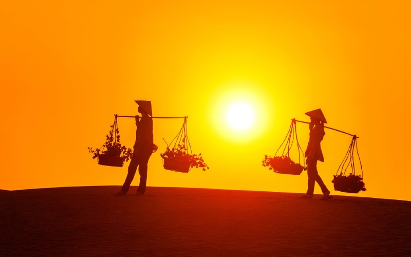 Đôi Cat Hông (Dunes de sable rouge)
