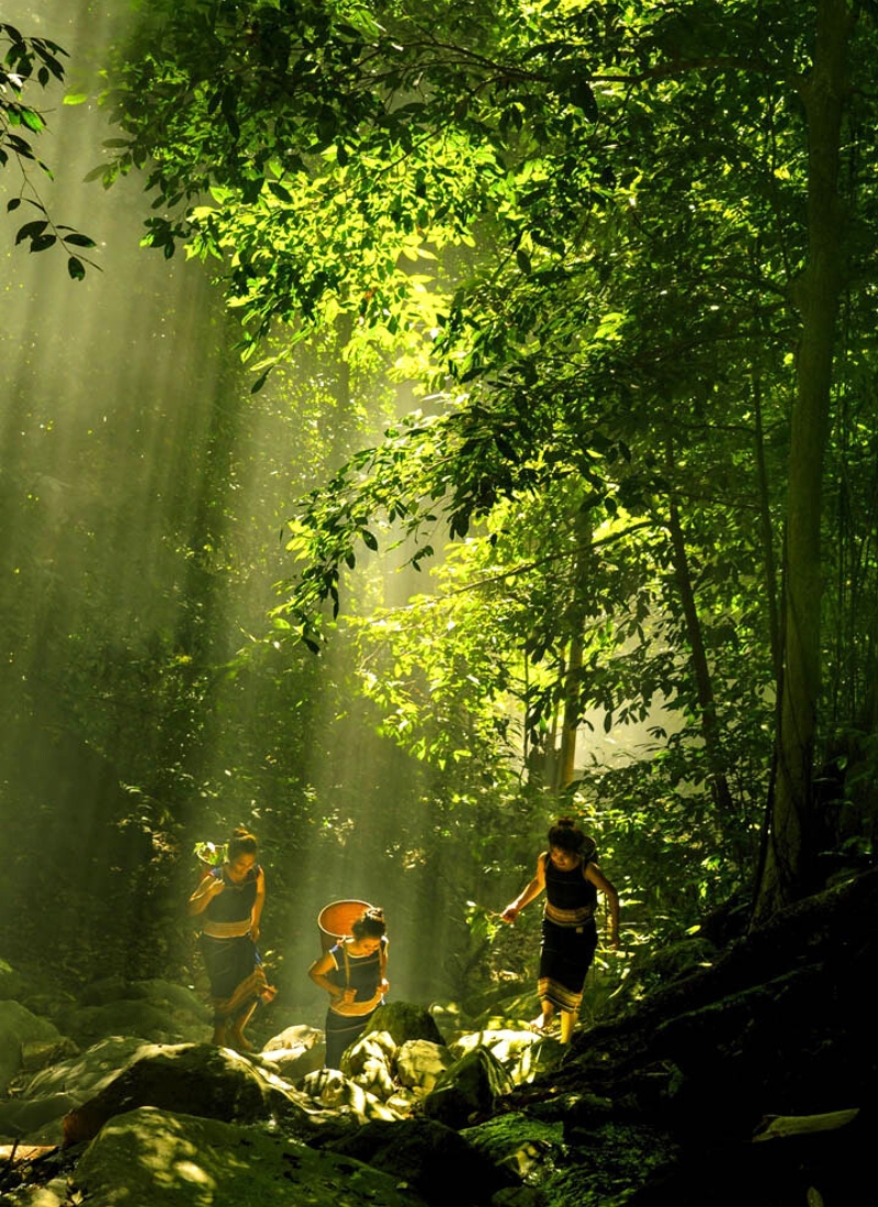 Parc national de Chư Mom Ray