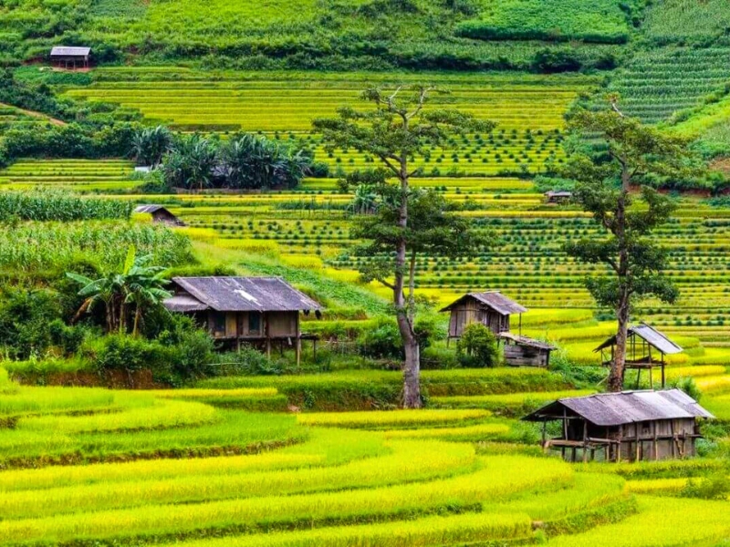 Guide de voyage à Yen Bai, joyau du Nord-Ouest Vietnam