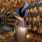 les hmongs au vietnam