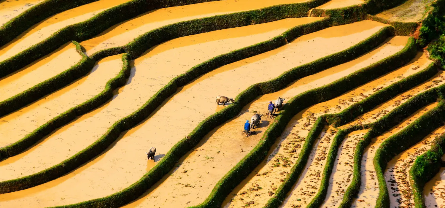 devis-sur-mesure bannerr