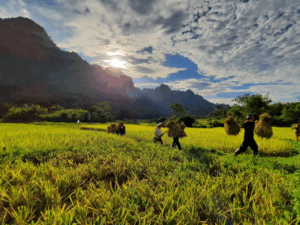 Lam Thuong, la vallée cachée et paisible de Yen Bai
