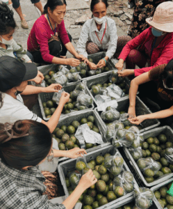 Chapitre 5: Horizon Vietnam Travel aux côtés des patients de l’Institut d’Hématologie de Hanoï – Action solidaire du 29 octobre 2025