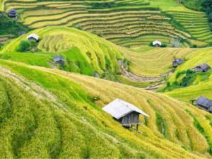 Voyage au Vietnam – Tout ce qu’il faut savoir