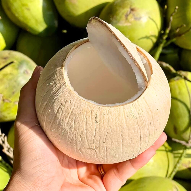 Dua (Noix de coco), l’une des boissons les plus appréciées et rafraîchissantes du Vietnam