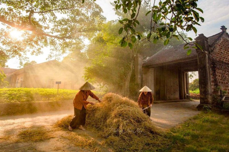 Le village vietnamien
