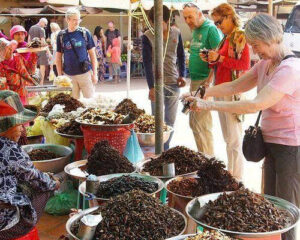 mercado de insectos Skun